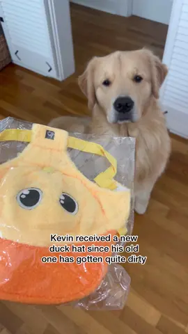 New duck hat for the duck hat King!