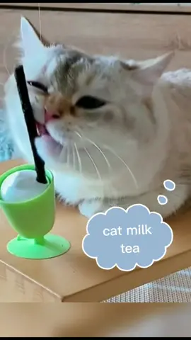 #fouyoupage #cats #pets #catnip #tiktok #cute