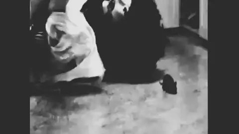 #333333333 #terrorextreemo @333.333.333.33.33