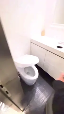The automatic TOILET in Japan#bathroom #meme