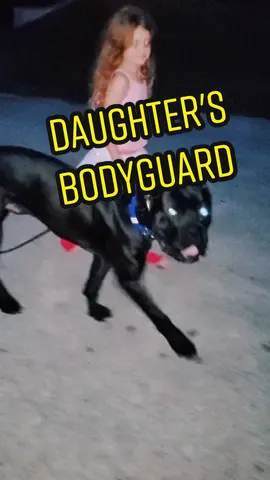 How safe are you on your walks at night? #canecorso #guardianbreed #italianmastiff #guarddog #diyk9 #professional #DogTraining #fyp #donttrythisathome