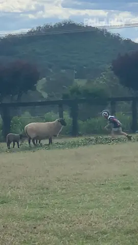 This kid is in for a hard life. 😂 #FailArmy@MoopNoodle ..#parents #kids #sheep #fails #karma