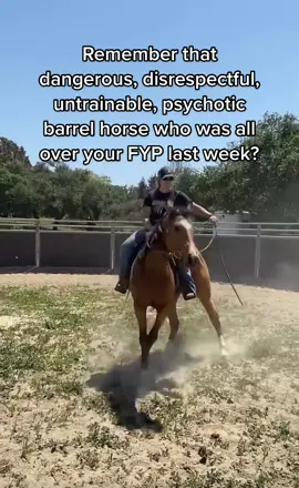 Super untrainable & psychotic 😉 Broke #barrelhorses ONLY #GuysLuckyCharm #barrelhorse #barrelracer #futurityprospect #futurityhorse #cowgirlshit