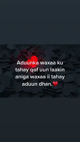 Jaceyl dhab ah #jacey #cishqi #erayo_jeceyl #somalitiktok