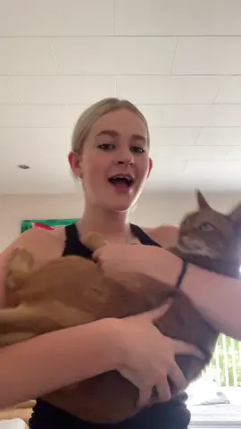 follow @poppy also i miss my cat