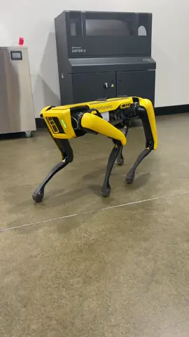 Still Dre #spot #bostondynamics #robot #SWAE #shopdog #dog #shuffle #dance #montana