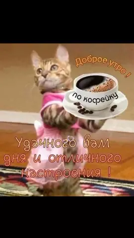 #зимахолода #животныймир #прикол #доброеутродрузья