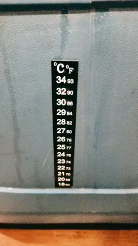 антисептик 👍#деревенскаяжизнь #дача #дом #самогон