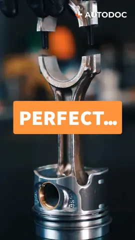 When you love the perfect order in the garage! 😍🧡How clean is your garage? #autodoc #garagetools #carservice #tools #perfect #satysfying #fyp