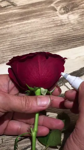 منشن جميلة 🏃🏻‍♀️🏃🏻‍♀️@b__alezzi #ComePlay #خطي #الخطاط_وليد_النمي #كتابة_عالورد #كتابة_أسماء #السعودية #اليمن #جميلة #تيك_توك #بدر_العزي #طلباتكم