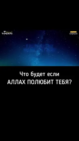 #любовьаллаху #топ #ислам #коран🕋 #религиядобра #исламрелигиямира #мусульмани