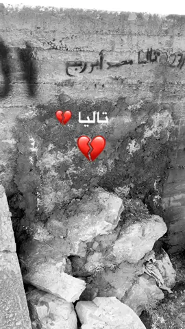 #تاليا 💔