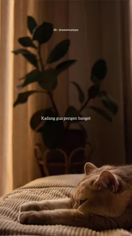 Sekesepian itukah? 🥺💔 #videoreza #suarareza #fypシ #curhat #katakata #berandatiktok #sadvibes #sadvideo #videoviral #quoteoftheday #prayer