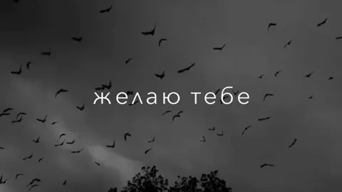 Отправь другу