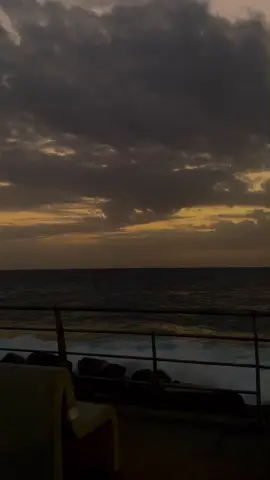 طالت المشاوير):