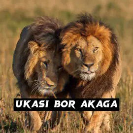 🇺🇿❤⊰᯽⊱𝙎𝙃𝙀𝙍𝙊𝘽𝙊𝘿⊰᯽⊱❤🇺🇿