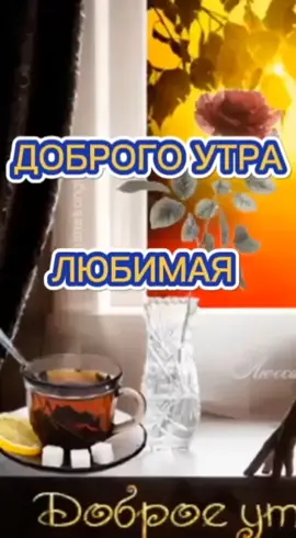 #МагнитНаЛёд#РешисьНаПеремены#ПодаркиСАлисой#MyBrawlSuper#EsteeLauderMantra#СберТанцы