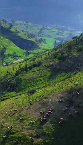 يقُال انه وادي النمل شمال الاردن، ضل احد ما راح له ؟🇯🇴 #تصويري #الاردن #ربيع_الاردن  #foryou #iphone #fyp #irbid #وادي_النمل