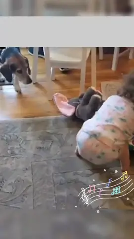 #Наши питомцы#Улыбка Любовь#