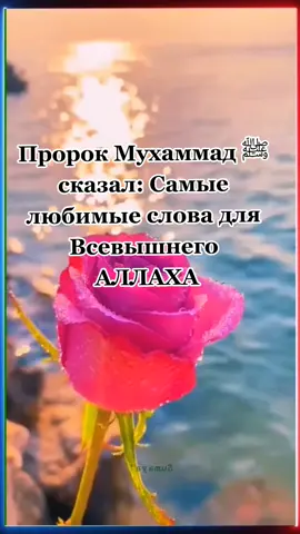 Пророк Мухаммад ﷺ сказал: Самые любимые слова для Всевышнего АЛЛАХА #allah #islam #muslim #muhammad