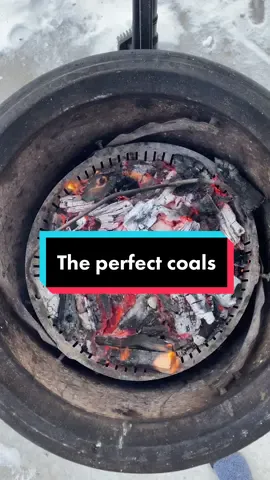Sounds obvious but not everyone realizes oxygen fuels the fire 🔥 #charcoalgrill #grilling #woodfirecooking #weberkettle