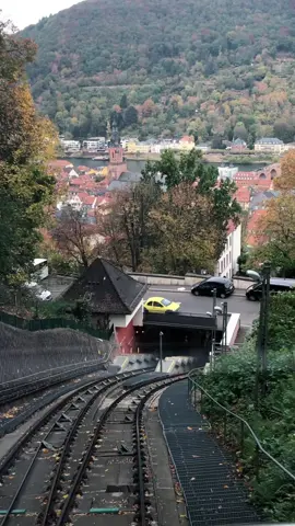 hab mein herz in HD verloren💛 #heidelberg #throwback #fypシ #bergbahn #königstuhl #badenwürttemberg #heidelbergerschloss #altstadt #romaticplace #Love