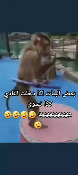 #هو_صدق_الخبر #ضحك_فله_وناسه #اكسبلورررررررررررررررررررر💥🌟💥🌟💥💥🌟🌟🌟🌟🌟 #تفاعل⬇️⬇️ #كومنت #متابعه