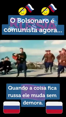 #forabolsonarocomunista#lulapresidente2022❤️⭐️🇧🇷🇧🇷