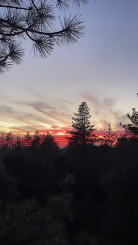 📍 idyllwild, ca