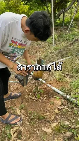 ดาราถาคใต้ 😛 #ผมชื่อขิง #ขิงพรีมายา