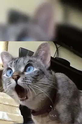 #хорошегонастроения