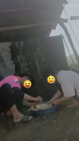 Chúc mừng sn tôi 🥳