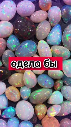 #выберашки2🐭