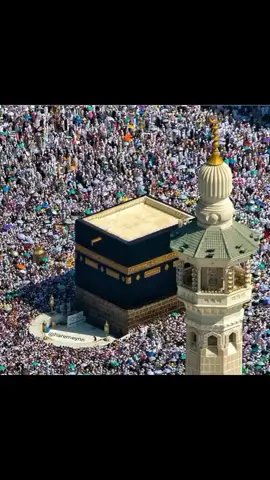 #ислам_религия_мира_добра #субханаллах #альхамдулиллах #🌹🧕🌹 #исламскиевидео #хачуврекомендации #рек #рекоминдация #малитвами #душойнестареем #аллах