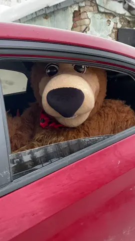 Мишка в Солярисе) #мишка #медведьвмашине #прикол