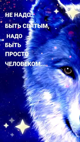 #рек #цитаты #мысли