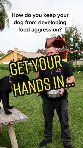 Check out our YouTube in the link in the bio. #foodagression  #dogtraining101 #southfloridadogtrainer #canecorso #dogtrainingadvice #puppytrainingtip