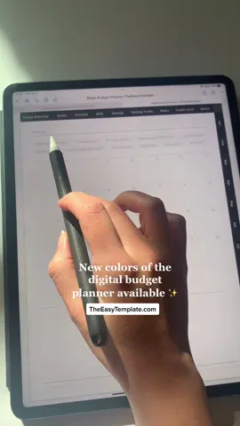 #digitalbudgetplanner #digitalbudget #goodnotesplanner #debtfreejourney