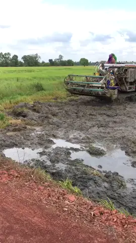 Thai harvester#agriculturalmachines#Highhorsepower#tractors#tractorlover#tractorchallenge