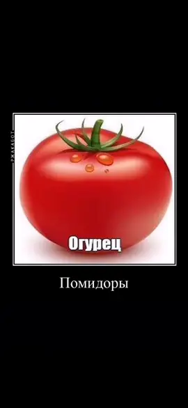 помидоры#помидоры #foryou #секторгаза #частушки #AvonПодаркиВсем #ПодаркиСАлисой