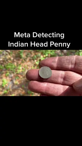 #relichunting #fyp #metaldetecting #rarecoins #coincollecting #oldcoins