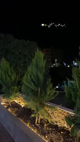 ﮼اه،يا،حلو،يا،سليني، 🌿🤍. #جرش #الاردن #تصويري #تصوير #الشمال #اربد #ليل #السعودية #اكسبلور_متابعة #لايكات #ترندات