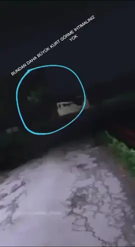 alfa kurt dunyanin en buyuk kurdu