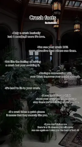 #tipss #fyp #crush#crushfactsforyou #crushfacts#Love #factsstokk #foryoupage #xyzbca #foryou #foruyou #loveyou #factsss #fy #facts