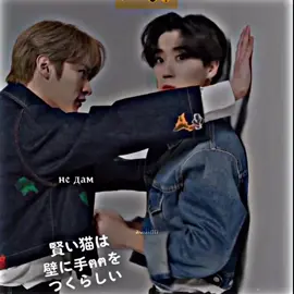 котики :} #minsung #minho #jisung #skz #straykids #stay #минсоны #минхо #джисон #стрейкидс #fyp