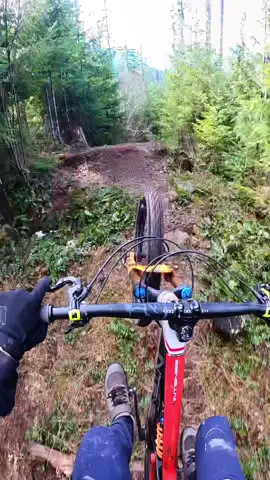 Practicing some manual landers. #gopro #pov #squamish #bike #mtb #enduro #intense #manual #bc #canada #fy #fyp #fypシ #jumps #fun #park #practice