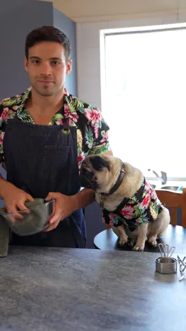 A lovely cinnamon roll cake with coconut and cream cheese icing, topped with toasted pecans #fyp #baking #cake #pugs #dessert #puglife #pug #taste