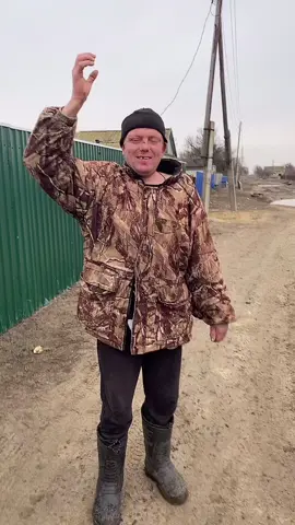 #фрэд