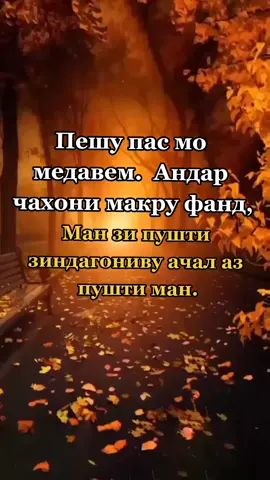 #murodov__99 #нашид #Ислом
