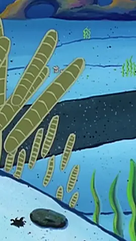 Oh no #spongebobspongebobpatrickpatrick #spongebobspongebob  #nematodes #spongebobmeme #spongebobmemes #meme #memes @bad_mryogurt